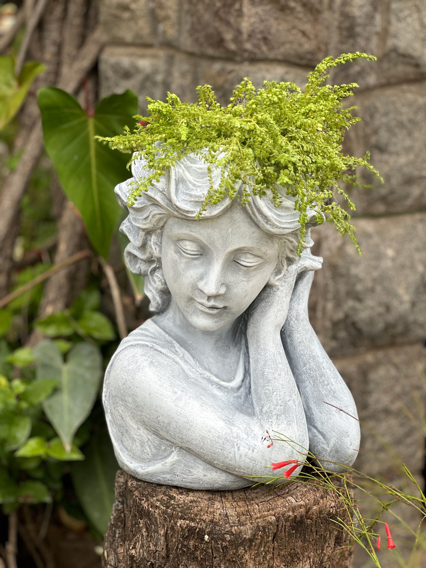 botanical beauty