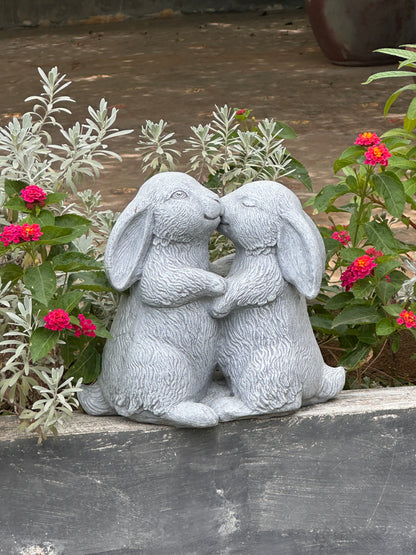 adorable rabbits