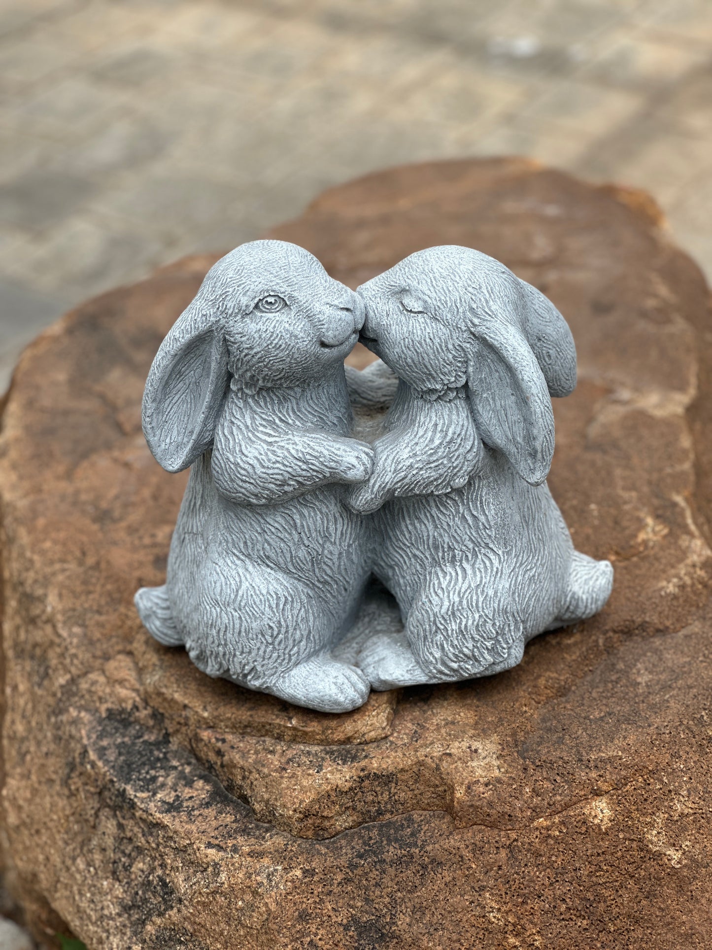 adorable rabbits
