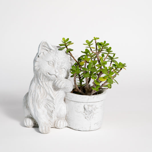 Playful Kitten Planter