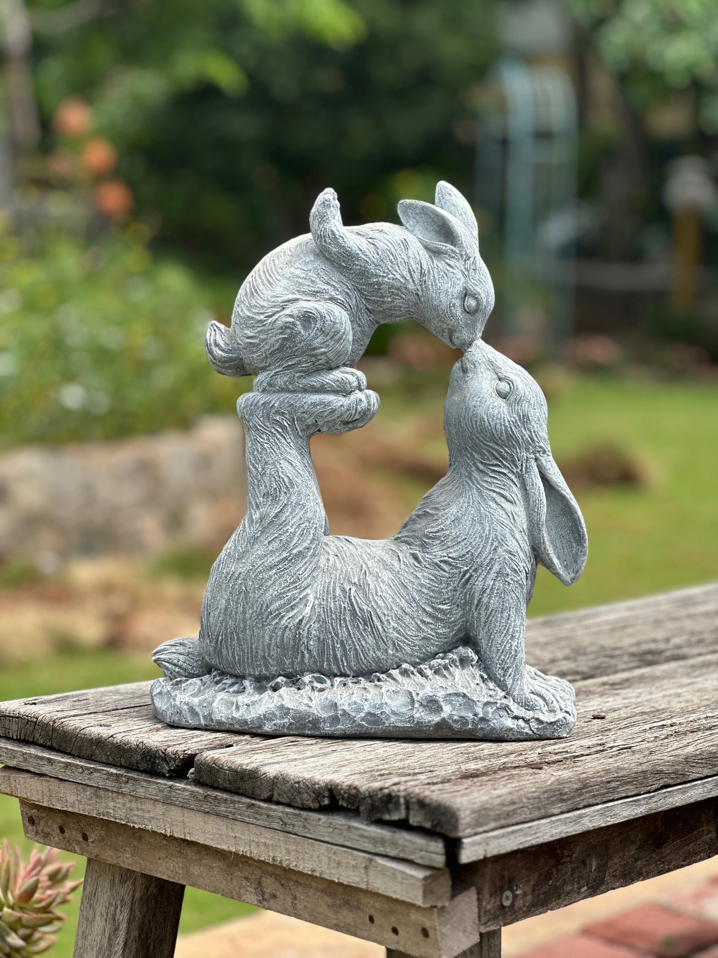 playful rabbits